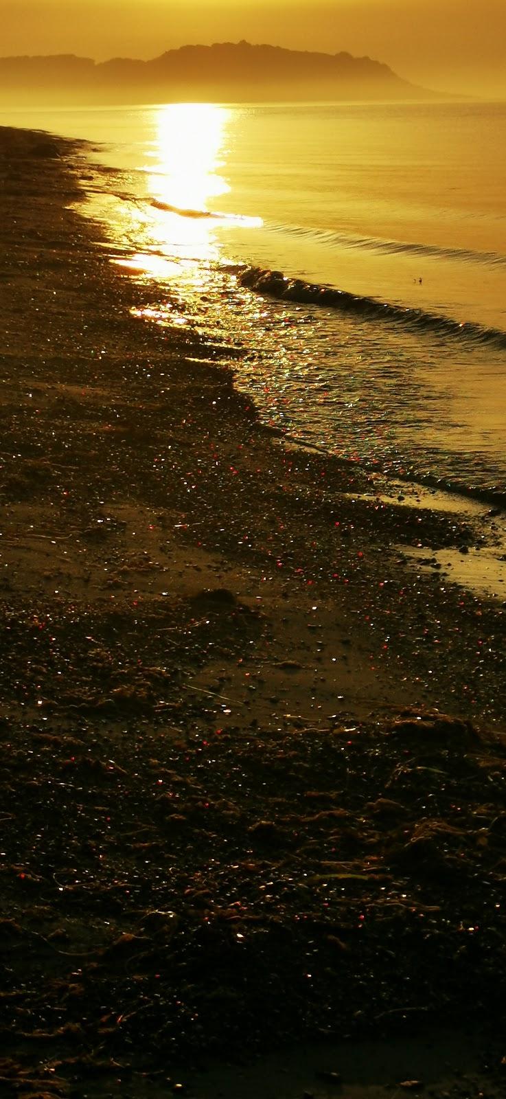 Sandee Holme Strand Photo