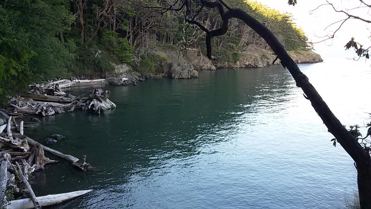 Sandee Goat Island