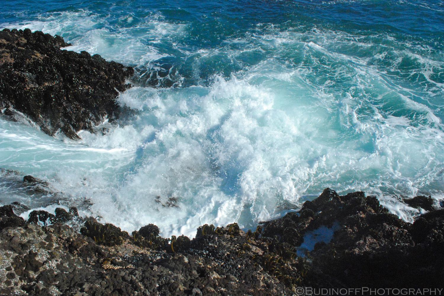 Sandee - Black Point Beach