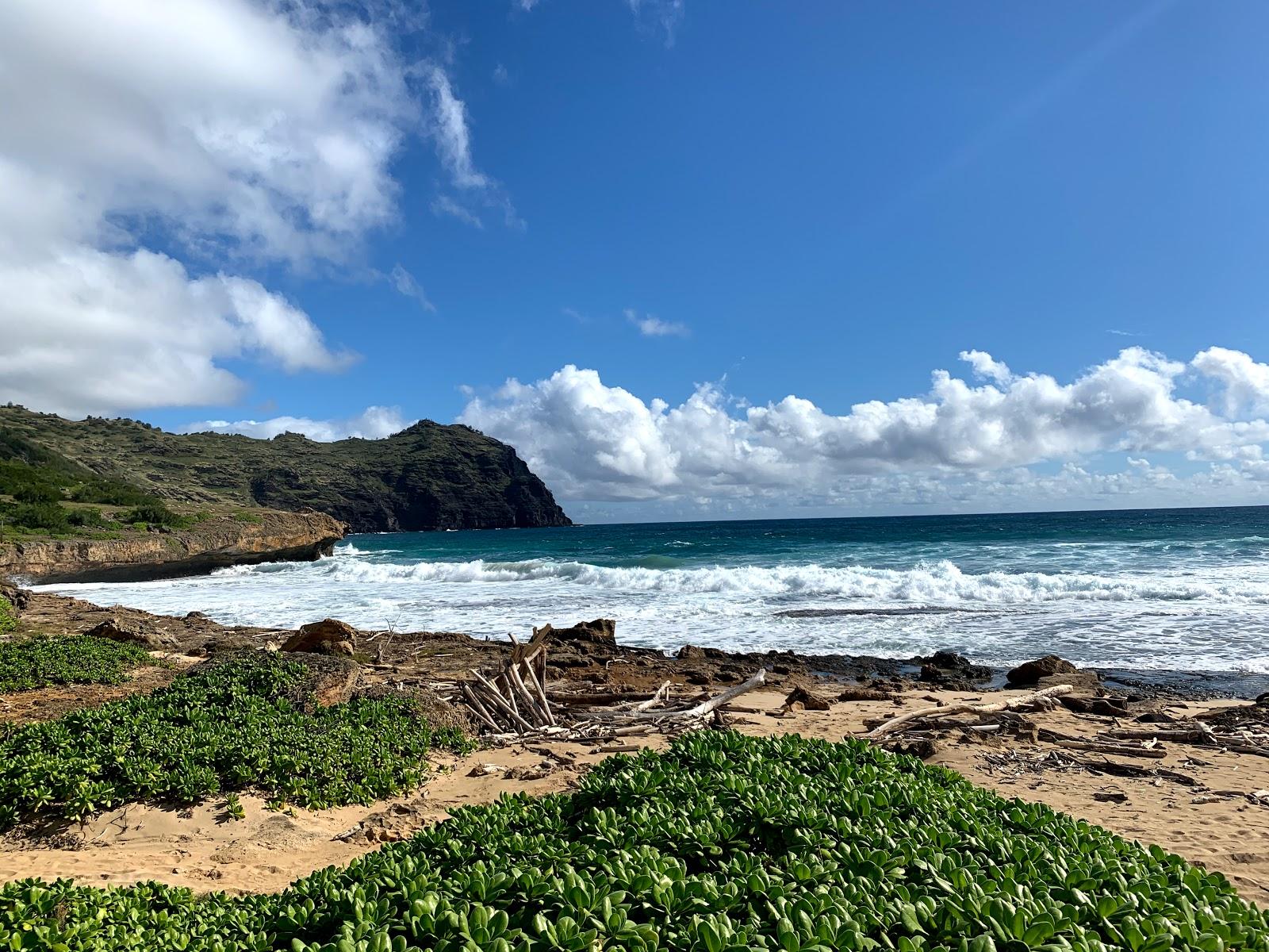 Sandee - Kawailoa Beach