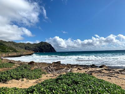 Sandee - Kawailoa Beach