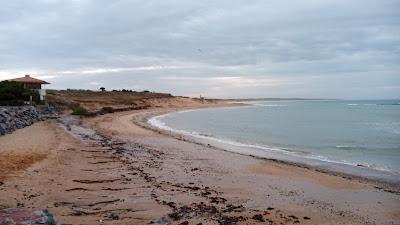 Sandee - Plage Du Marais Girard A Bretignolles-Sur-Mer