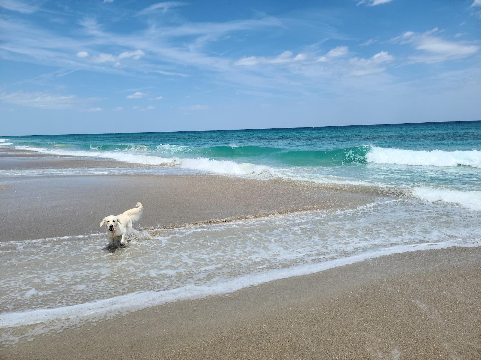 Sandee - Walton Rocks Beach