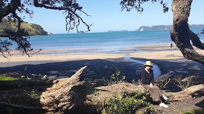 Sandee - Wharekaho/Simpsons Beach