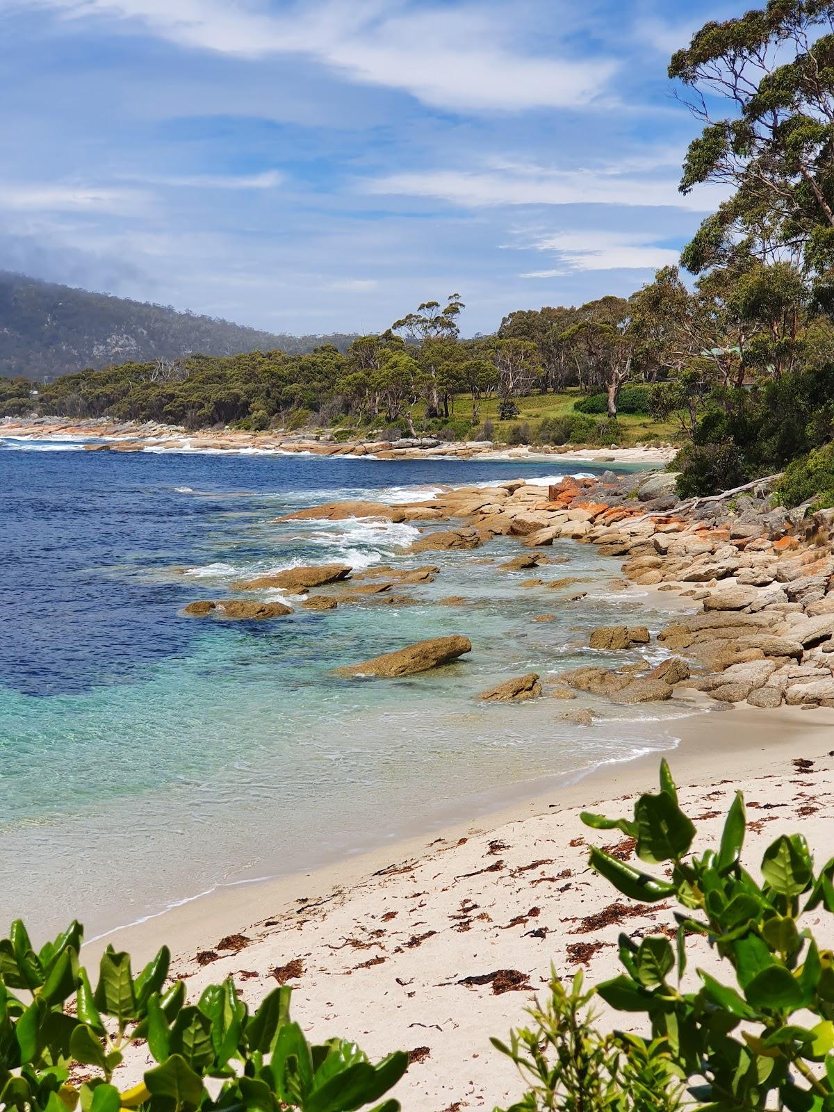 Sandee Rice Beach