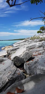 Sandee - Ambergris Cay Beach