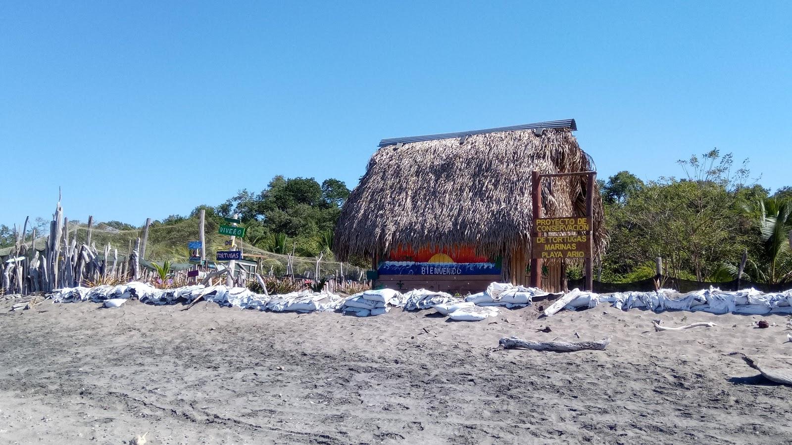 Sandee Playa Ario