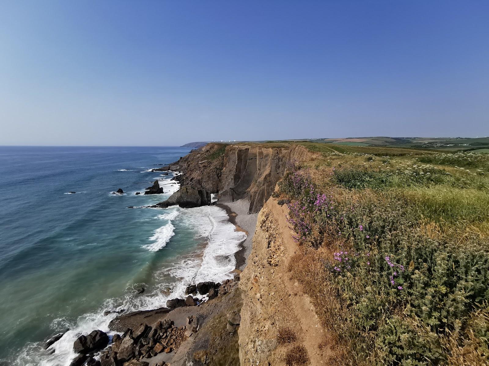Sandee Pearce's Cove
