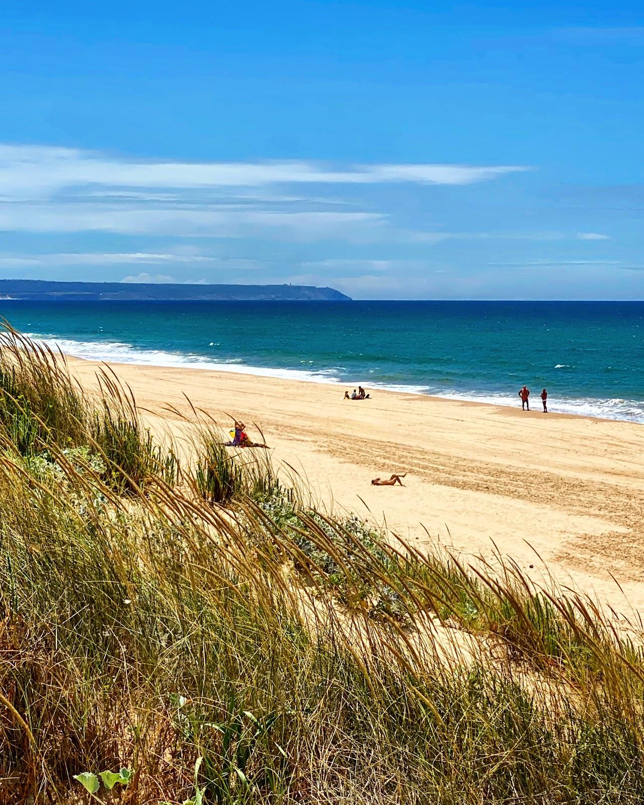 Sandee Praia Naturista Da Bela Vista Ou Dezanove