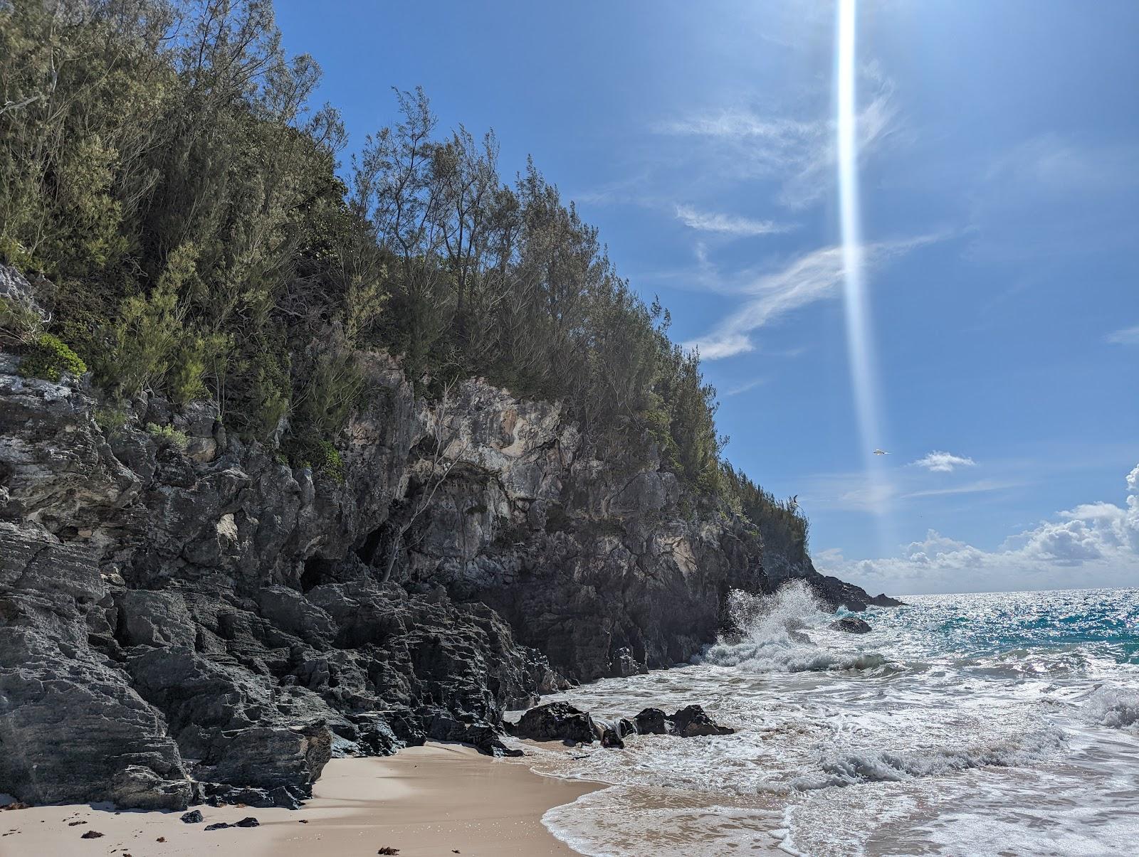 Sandee Rosewood Tucker's Point Beach Photo