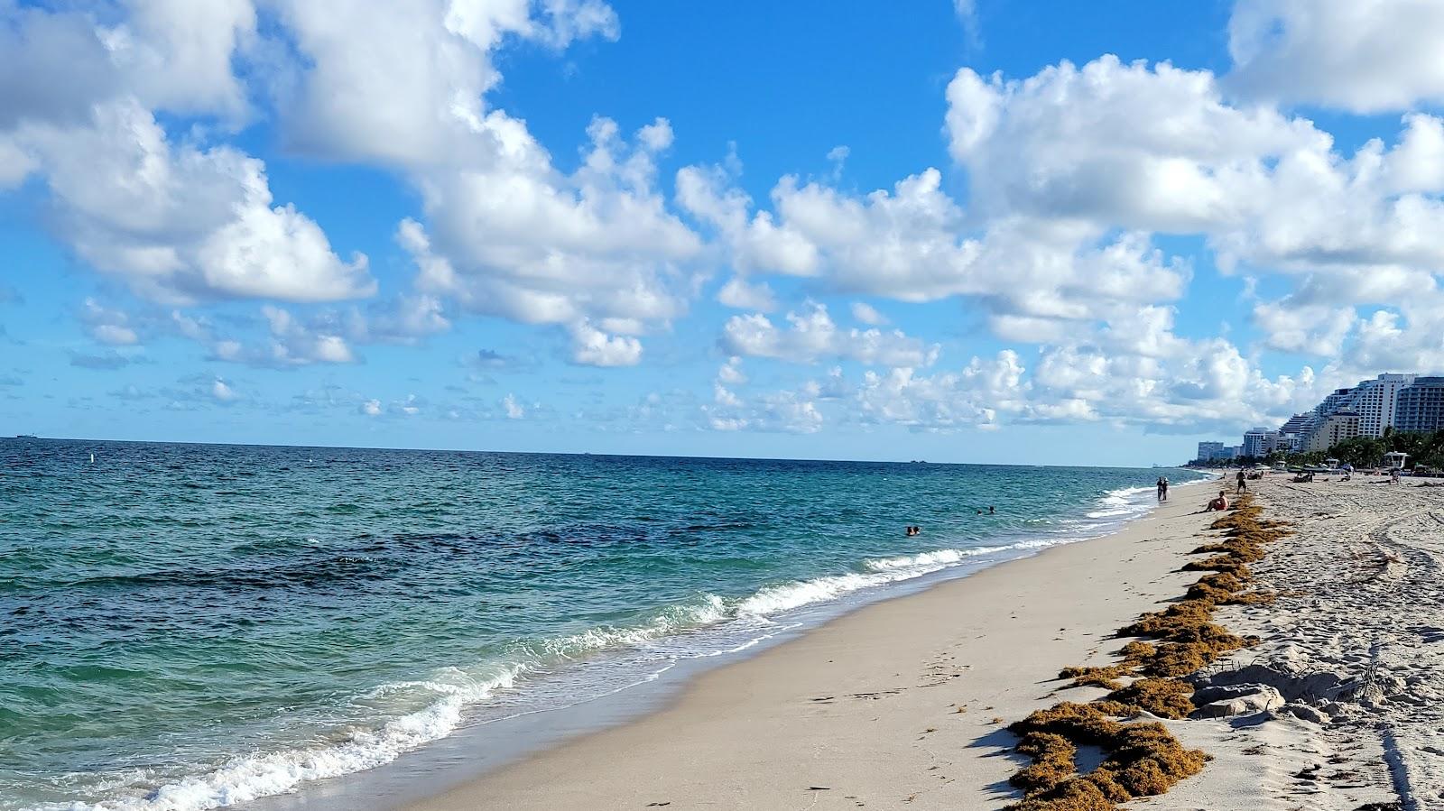 Sandee Fort Lauderdale Dog Beach Photo