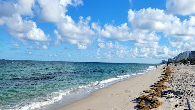 Sandee - Fort Lauderdale Dog Beach