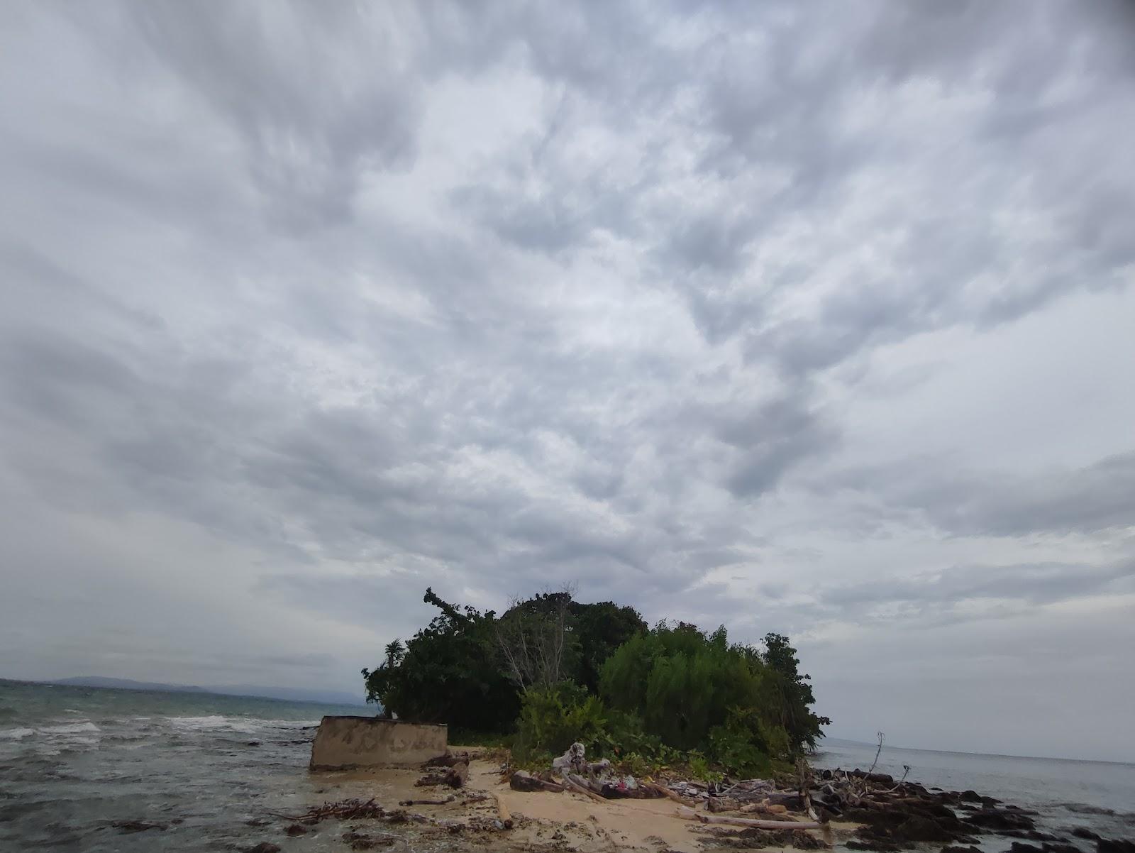 Sandee Ekor Pari Morotai