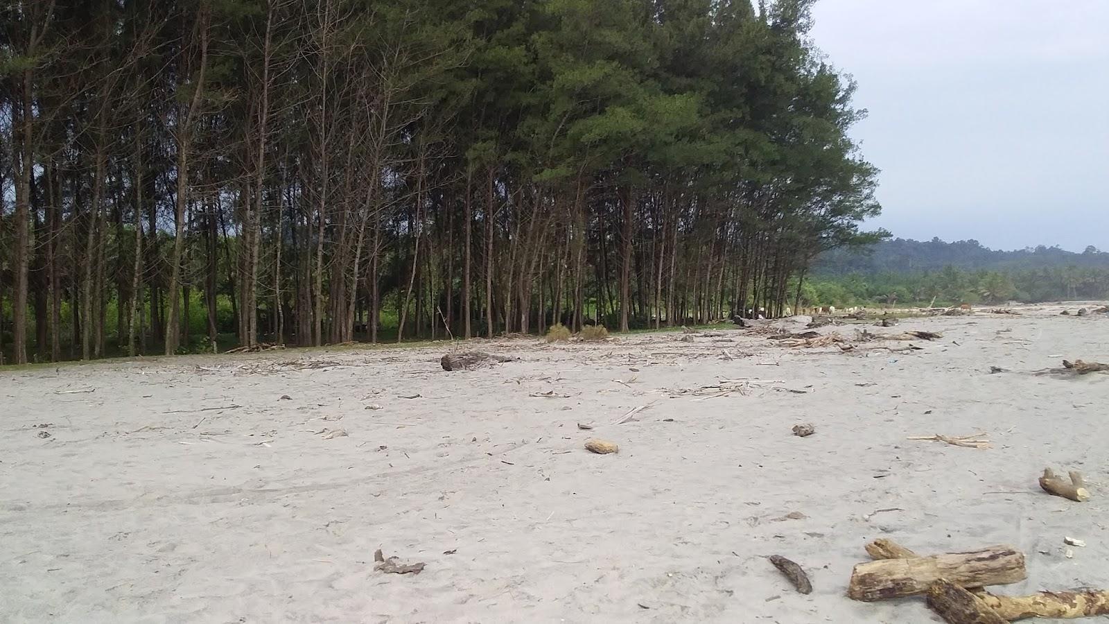 Sandee Pantai Muara Sekube