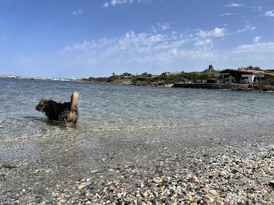 Sandee - Ellcriso Servizi Spiaggia