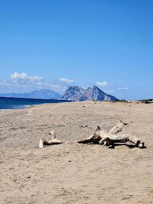 Sandee - Playa De Sotogrande