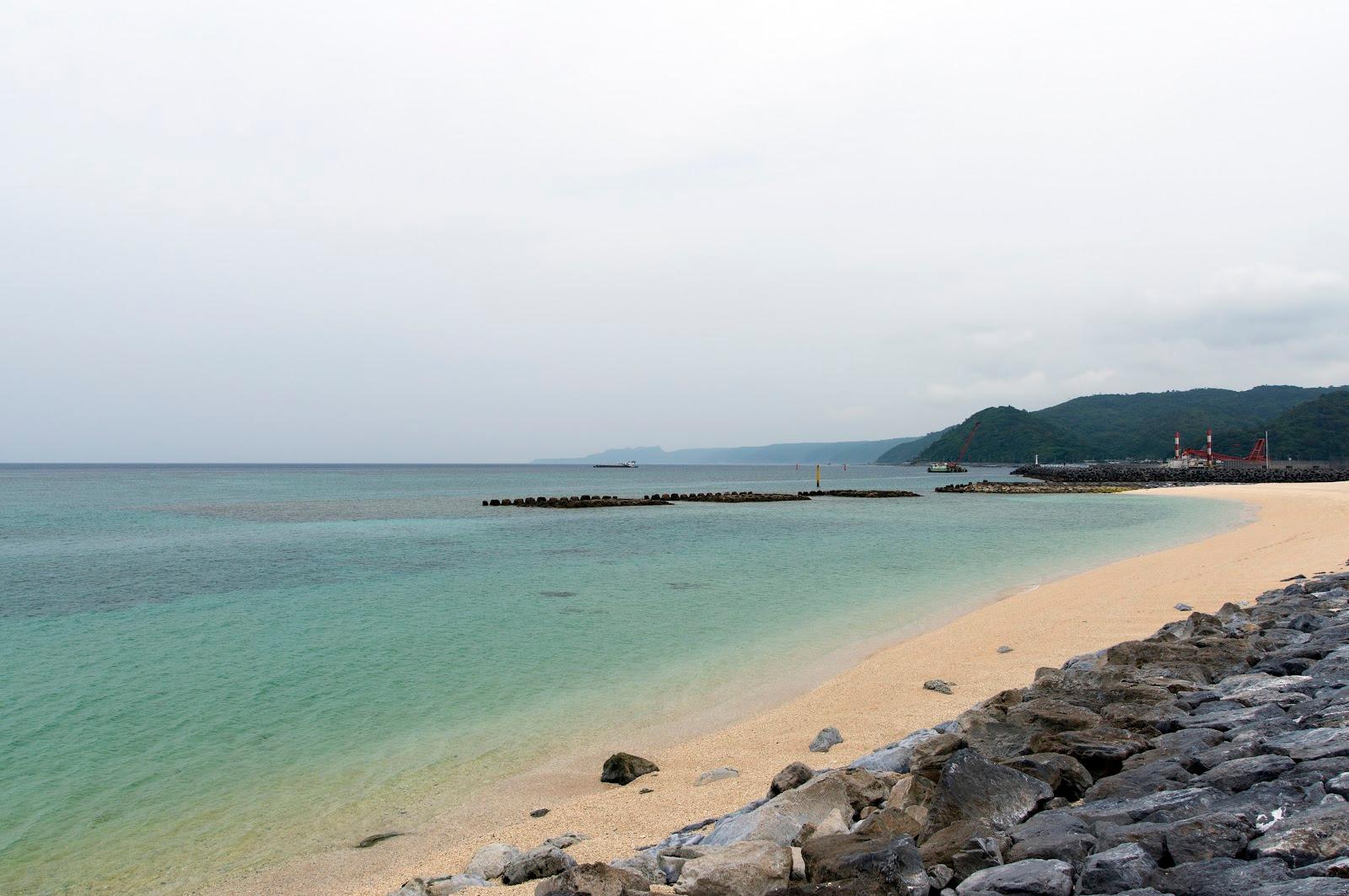 Sandee Kunigamisogotaiikukanmaeno Kokyono Beach Photo