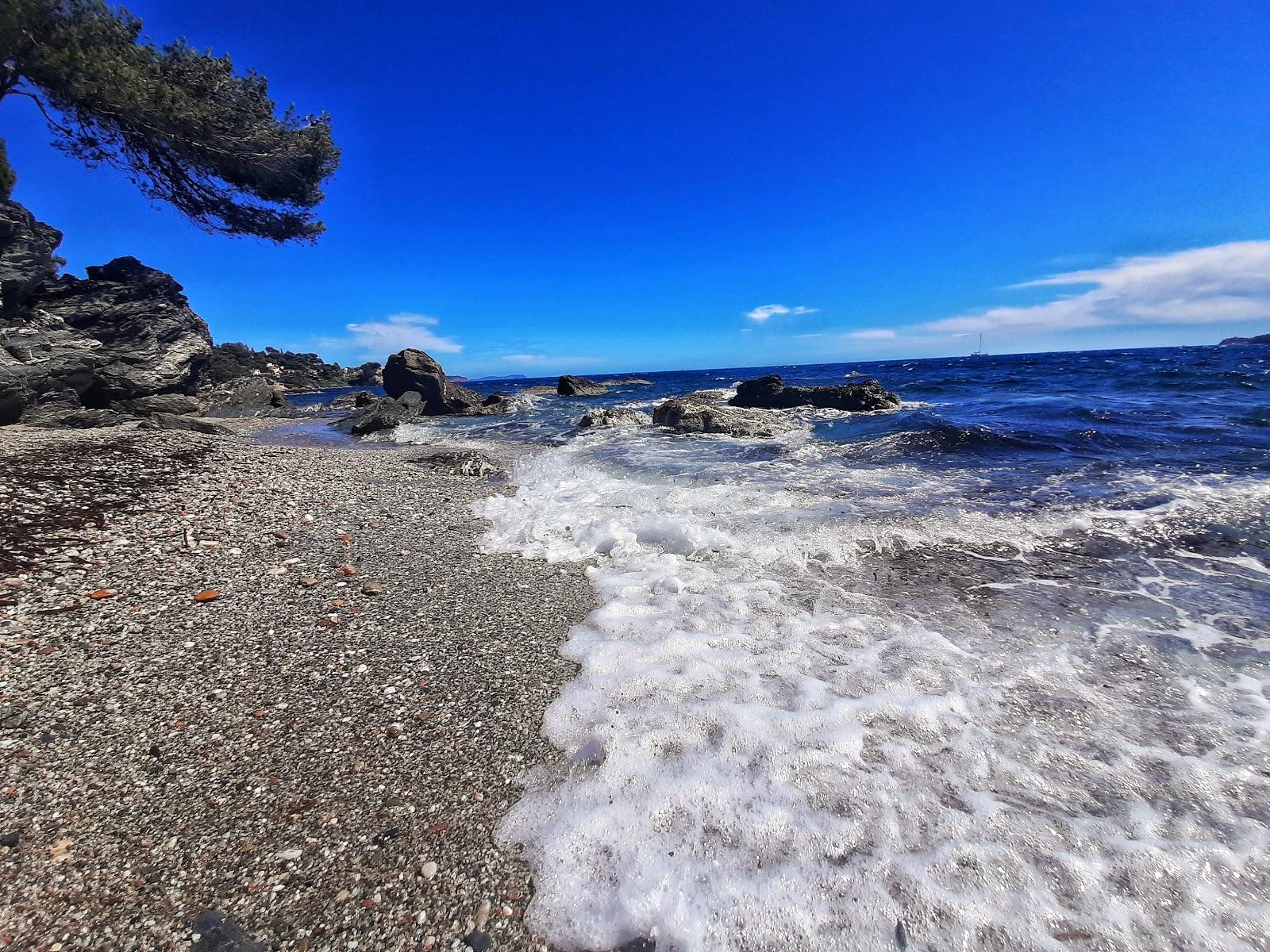 Sandee Plage Du Gayraud Photo