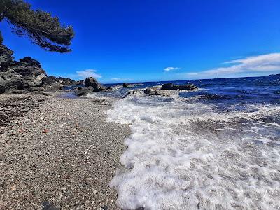 Sandee - Plage Du Gayraud