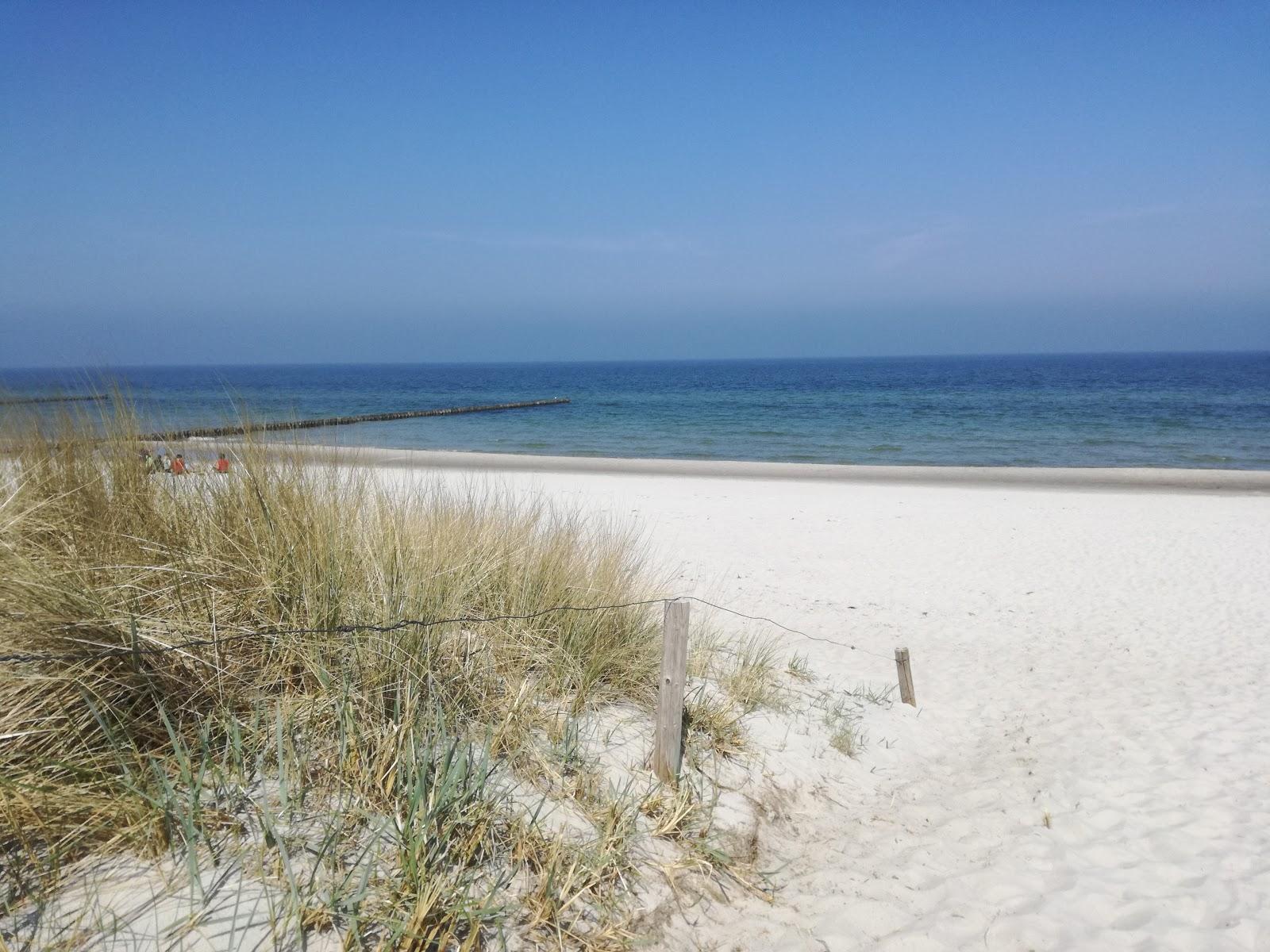 Sandee Fkk Strand Zingst Photo