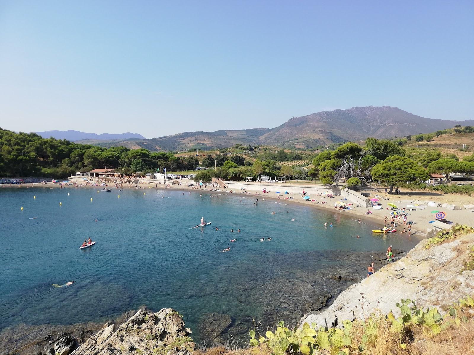 Sandee Plage De Bernardi
 Photo