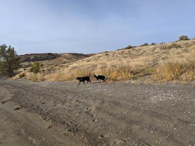 Sandee - Wanapum Recreation Area