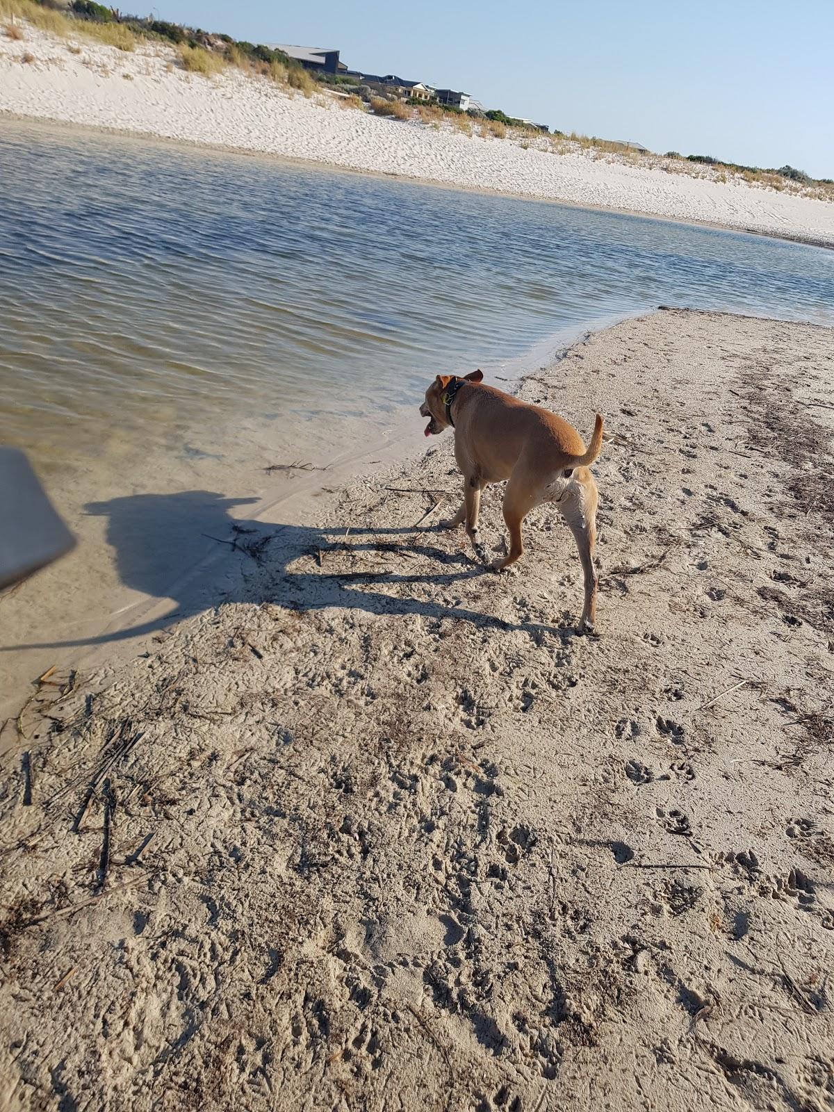 Sandee Minnniup Sand Patch