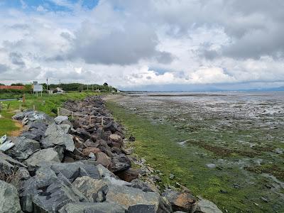 Sandee - Annagassan Bay Beach