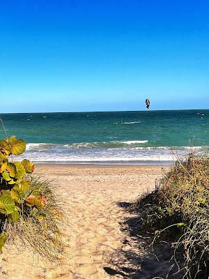 Sandee - Santa Lucea Beach