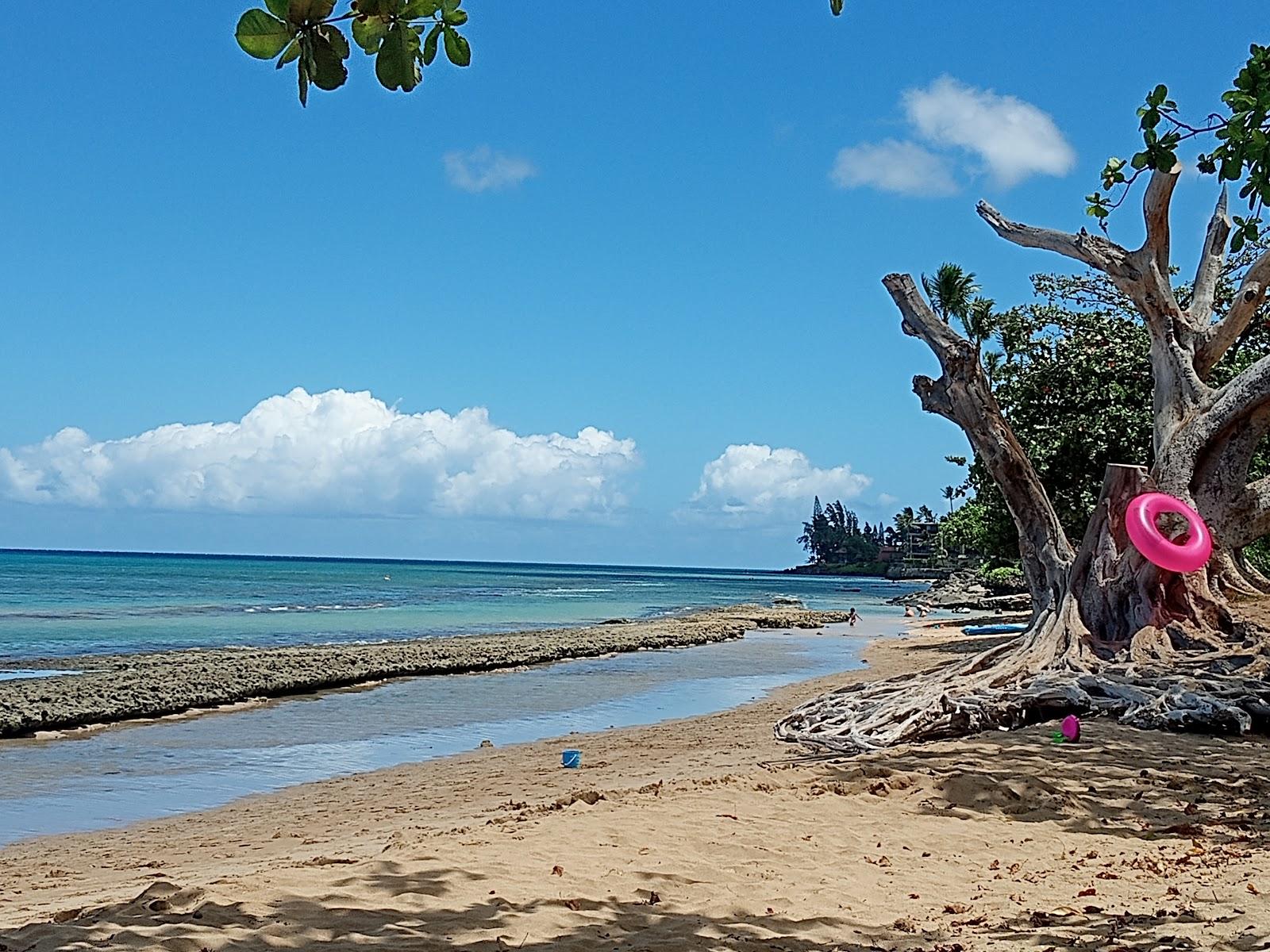 Sandee - Honokowai Beach Park