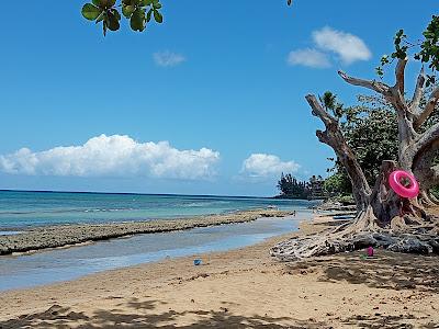 Sandee - Honokowai Beach Park