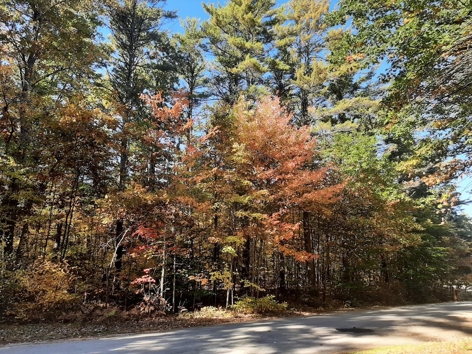 Sandee - Greenfield State Park