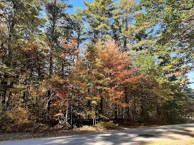 Sandee - Greenfield State Park