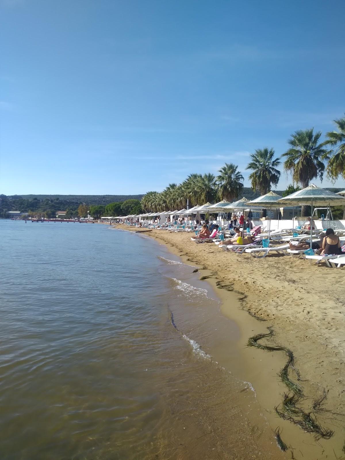 Sandee Tsk Erden Beach Camp