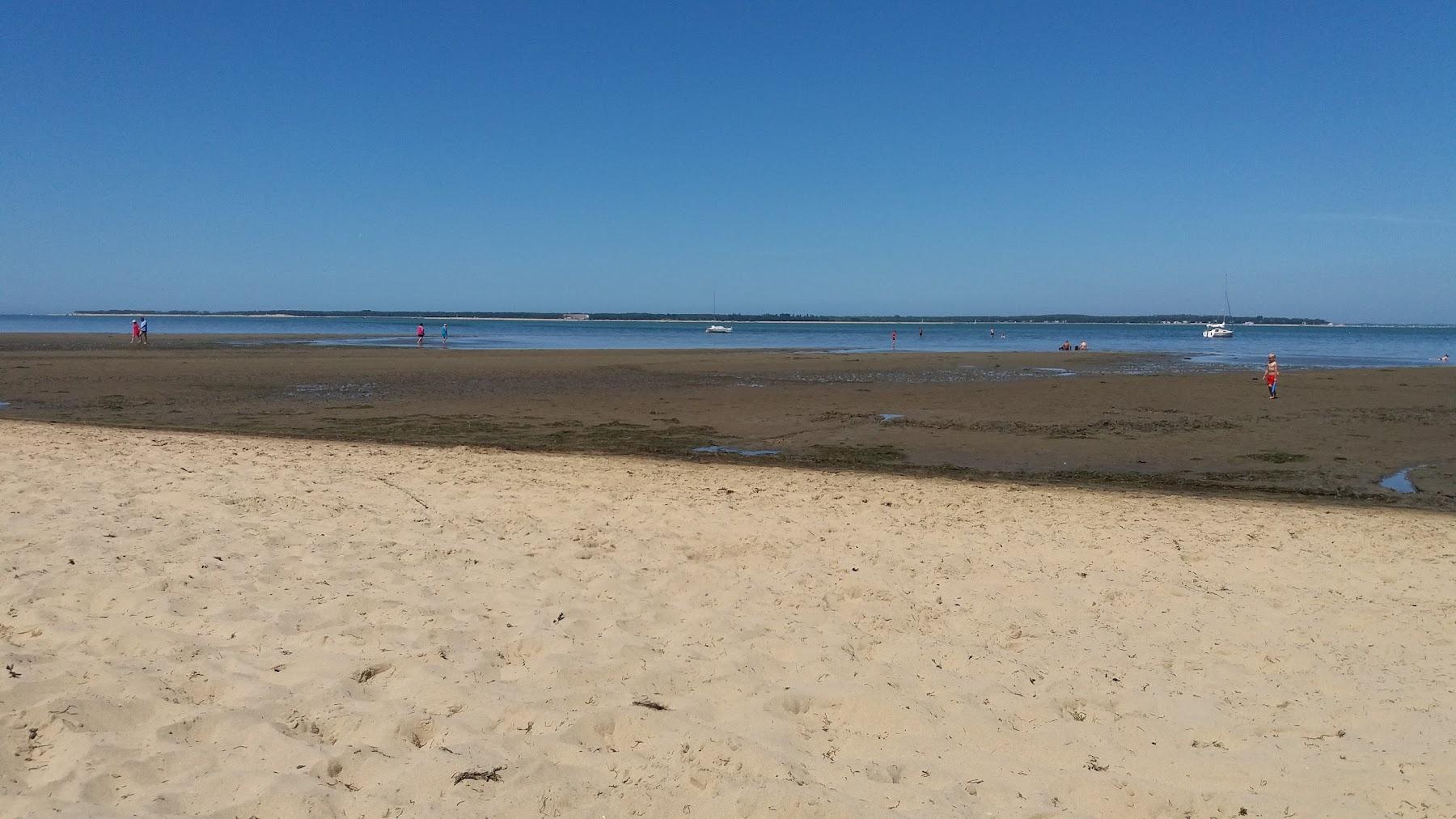 Sandee Plage De La Cepe A La Tremblade