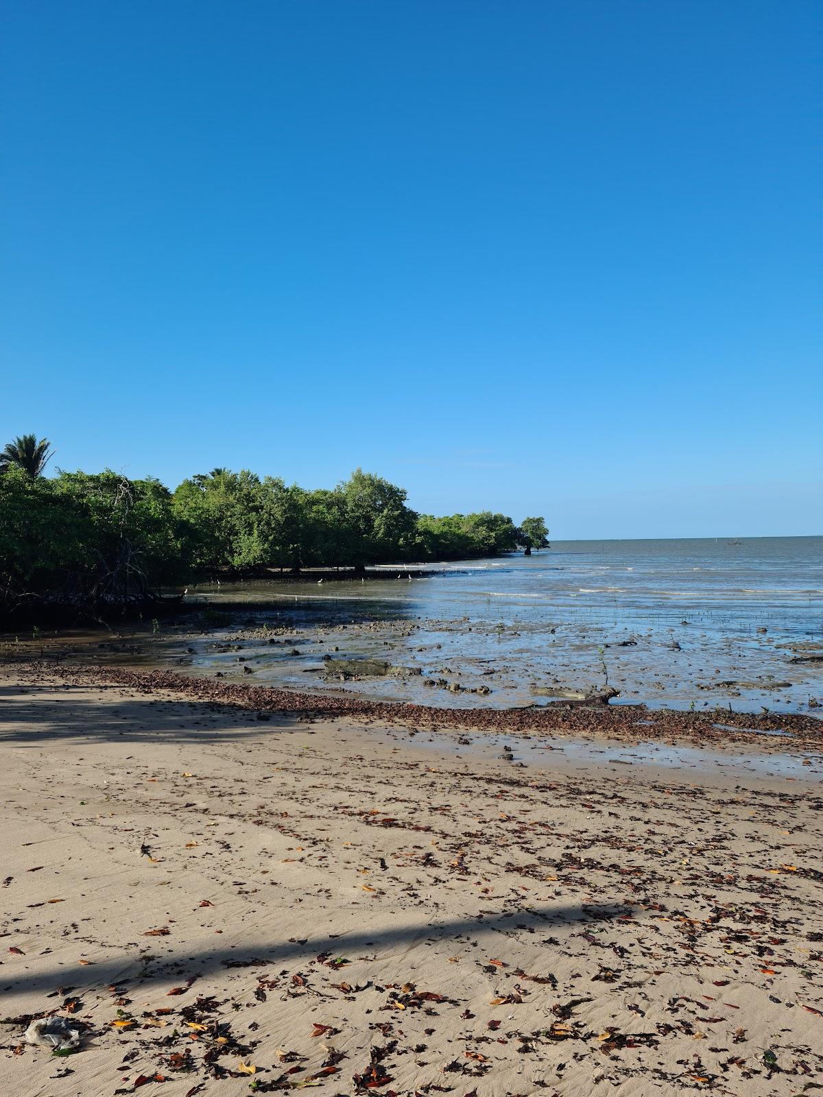 Sandee Praia De Satuba