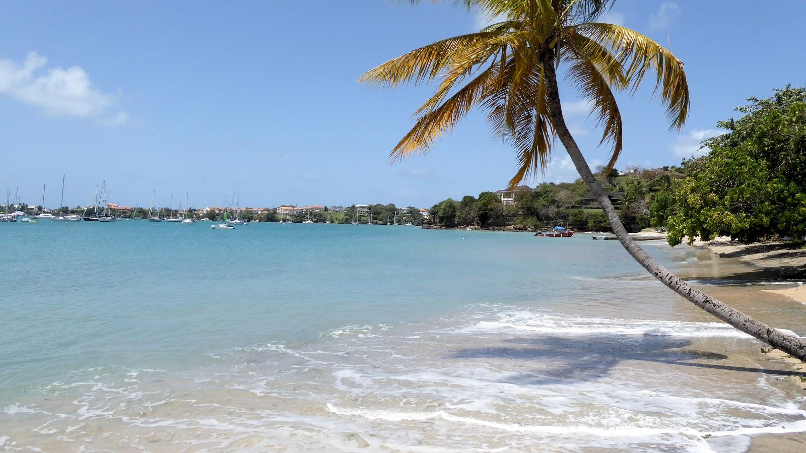 Sandee Lance Aux Epines Beach