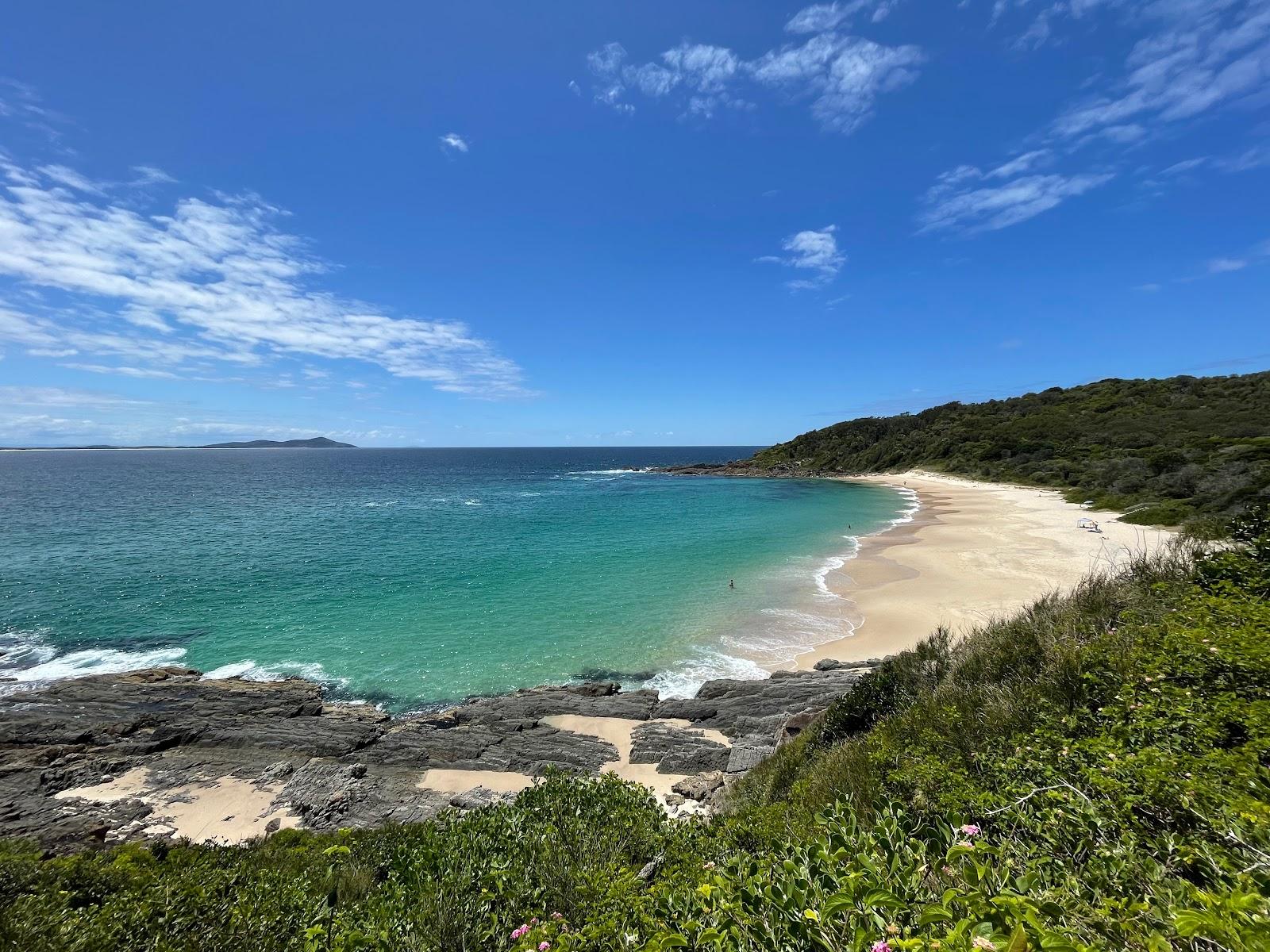 Sandee Shelly Beach Photo