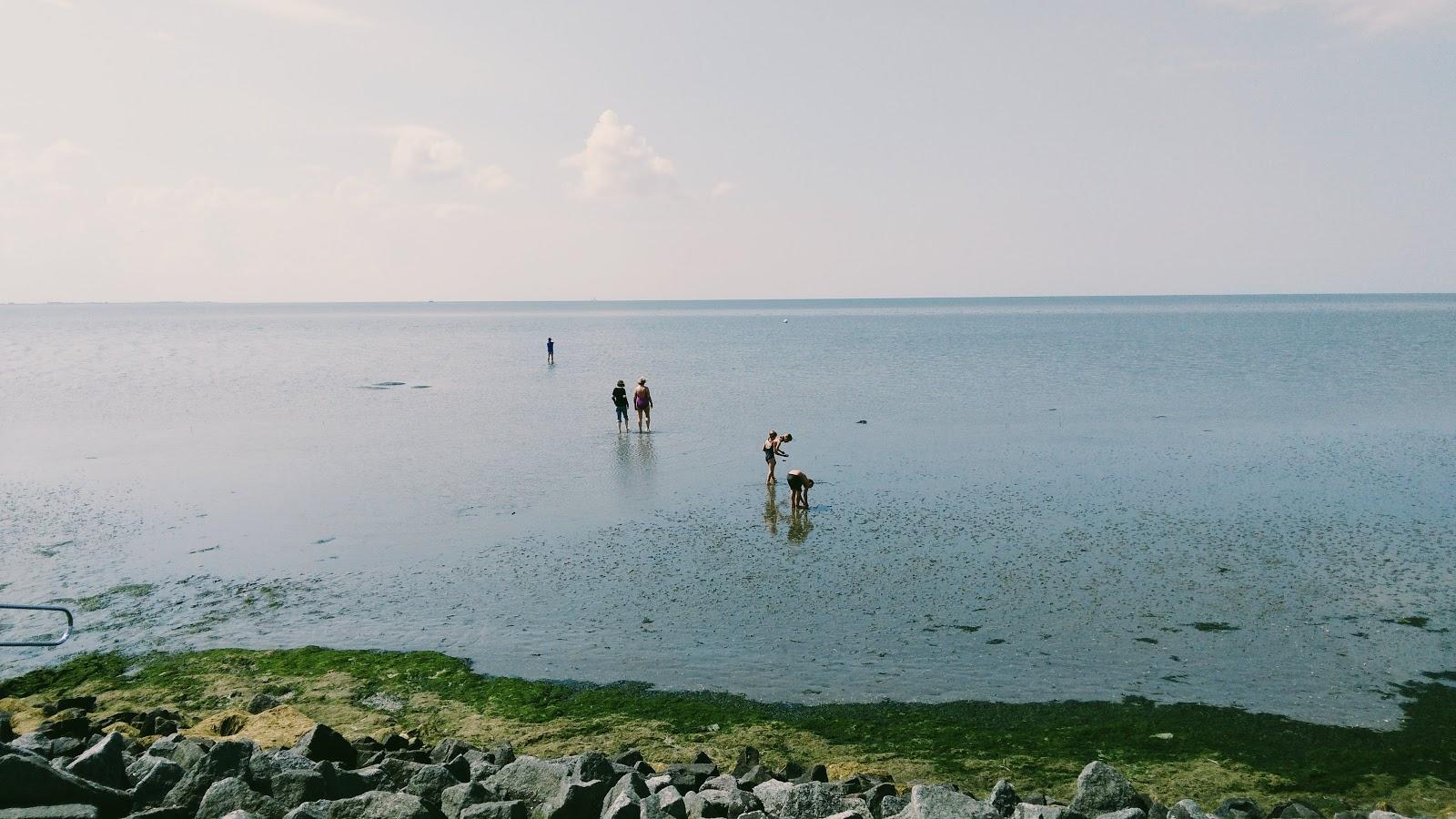 Sandee Speicherkoog Badestelle