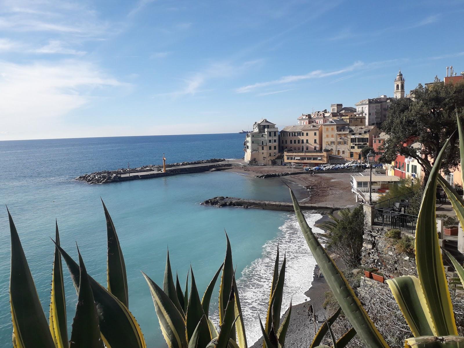 Sandee - HomePage / Bogliasco