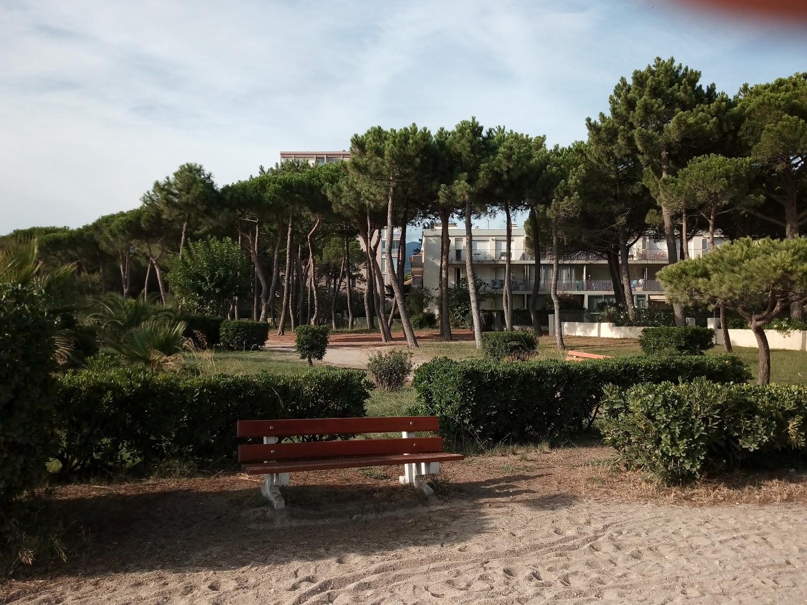 Sandee Plage Des Pins
