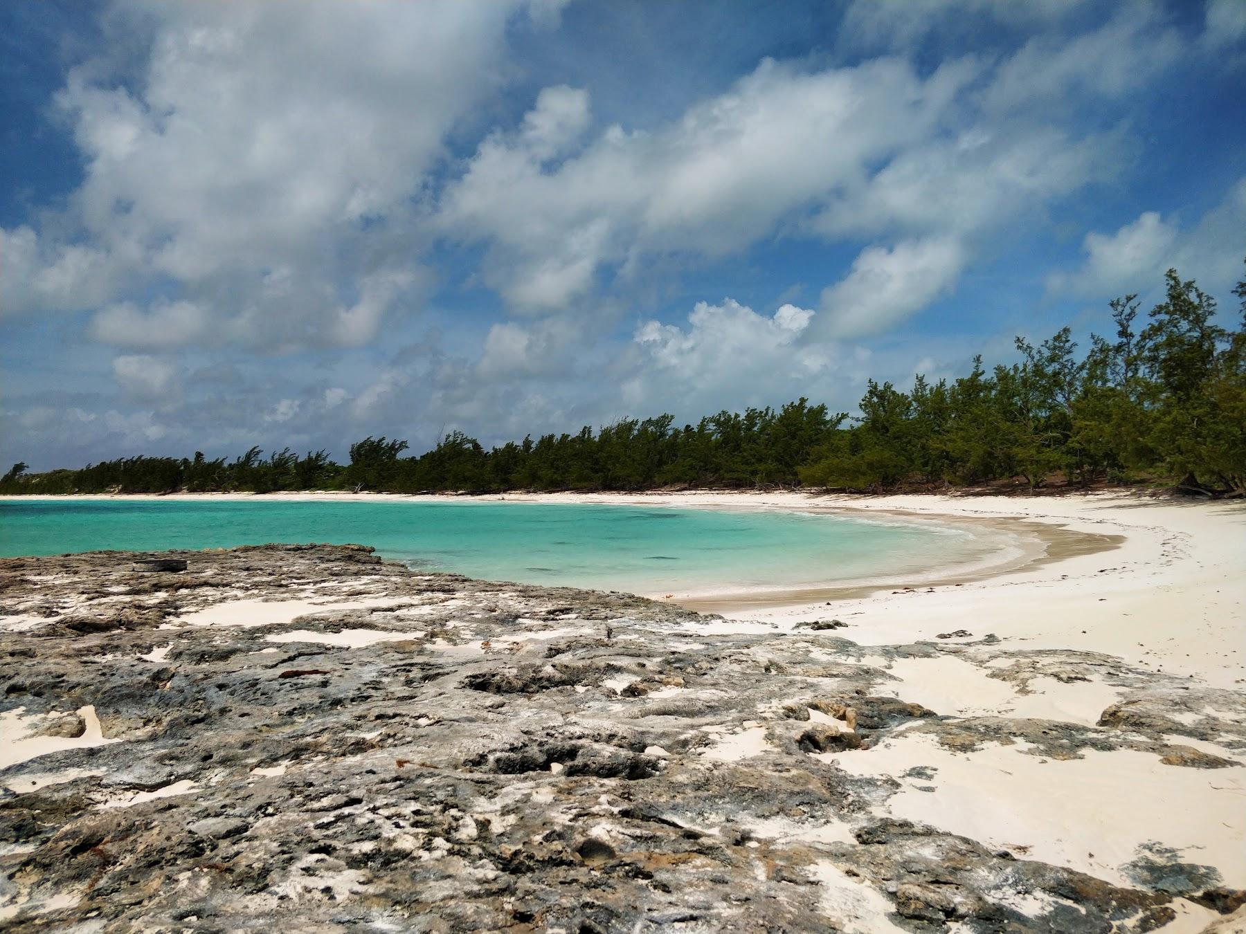 Sandee Whiteland Beach