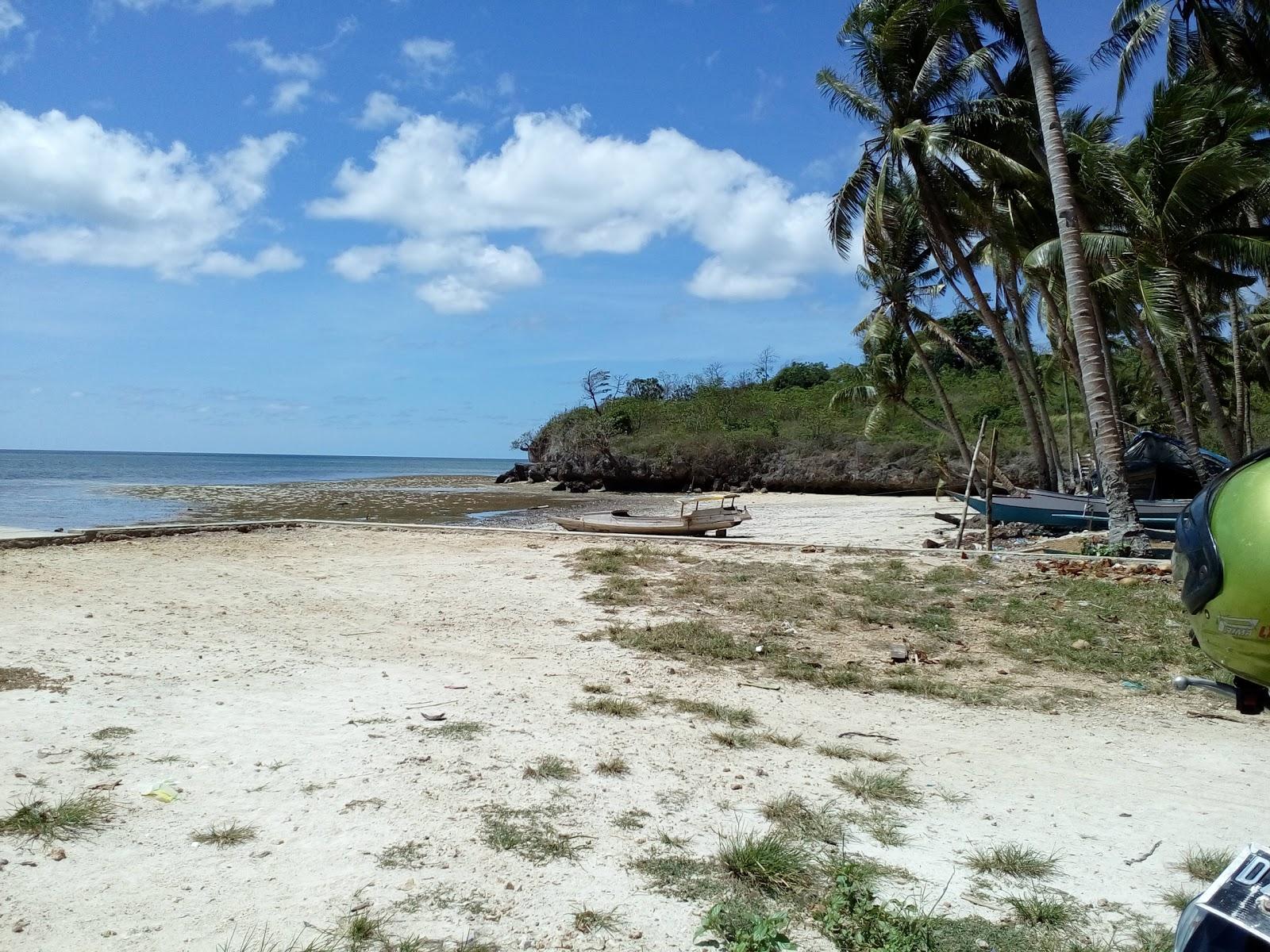 Tanimbar Islands Photo - Sandee