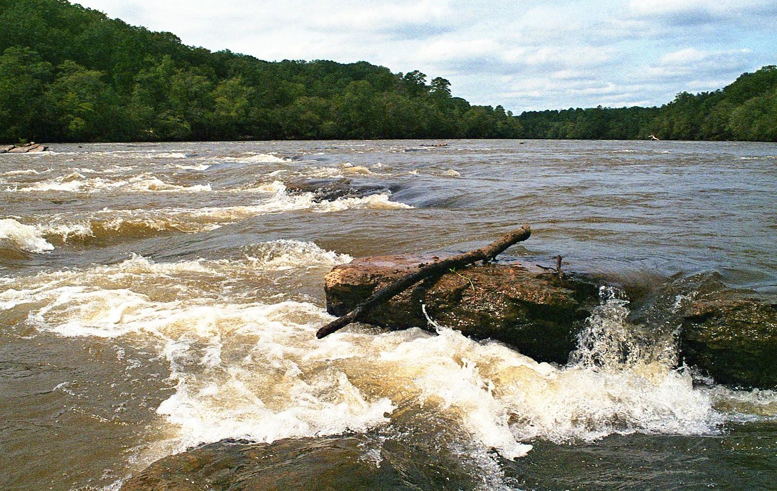 Sandee Broad River Greenway