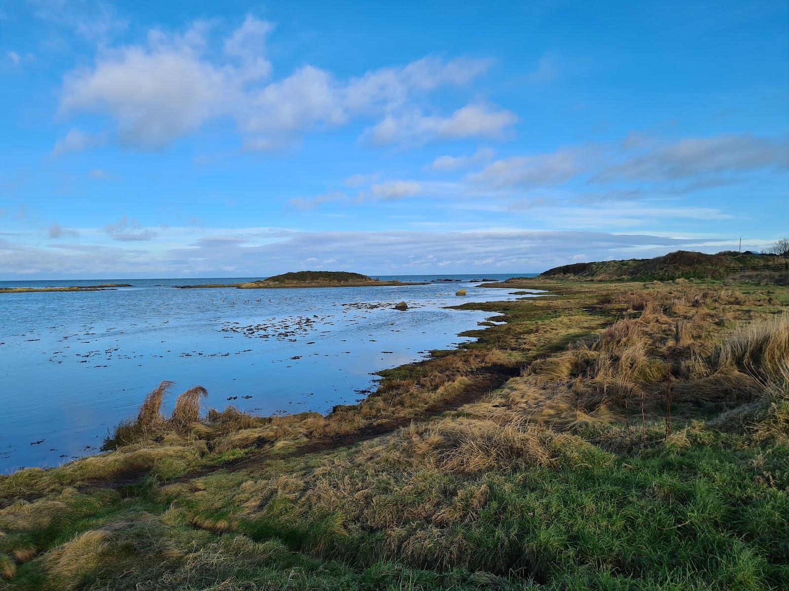 Sandee Ballymacormick Point Photo