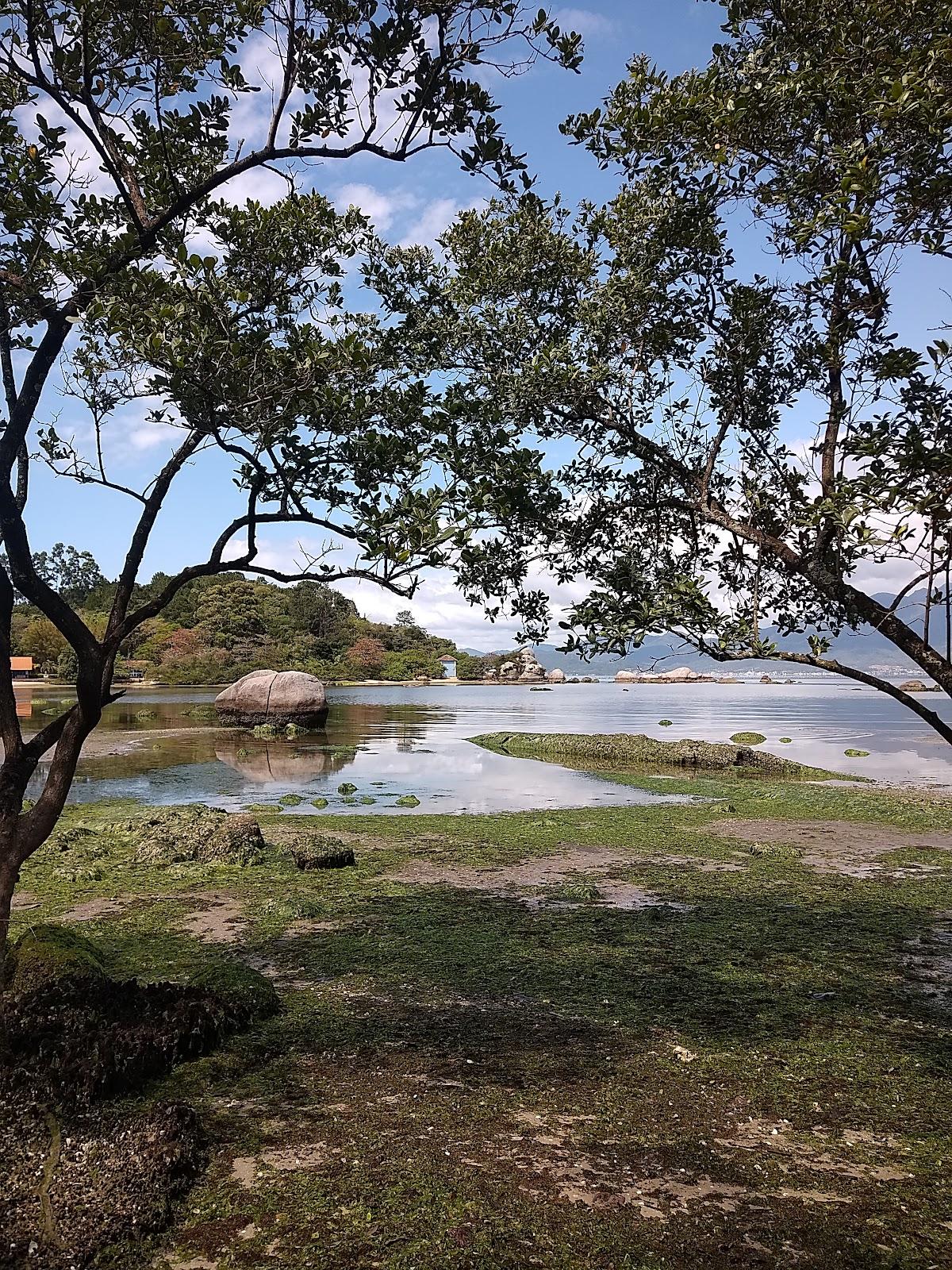 Sandee Praia Do Saco Photo