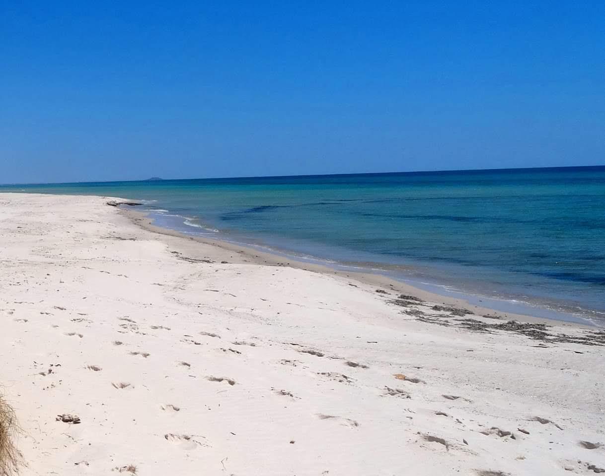 Sandee Plage Menzel Horr
