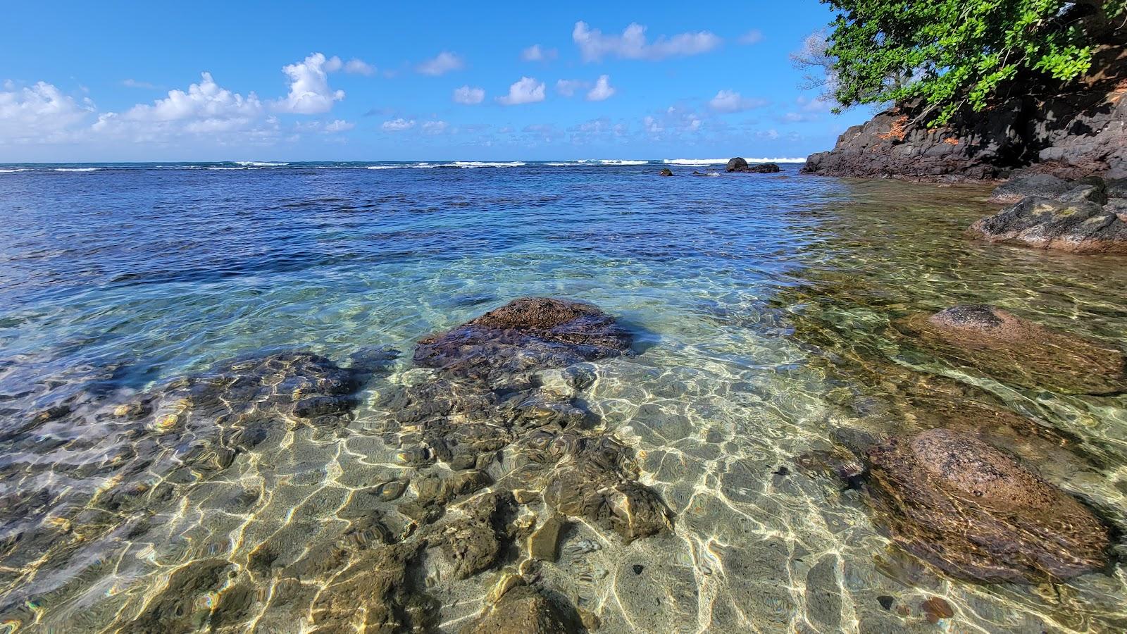 Sandee - Sealodge Beach