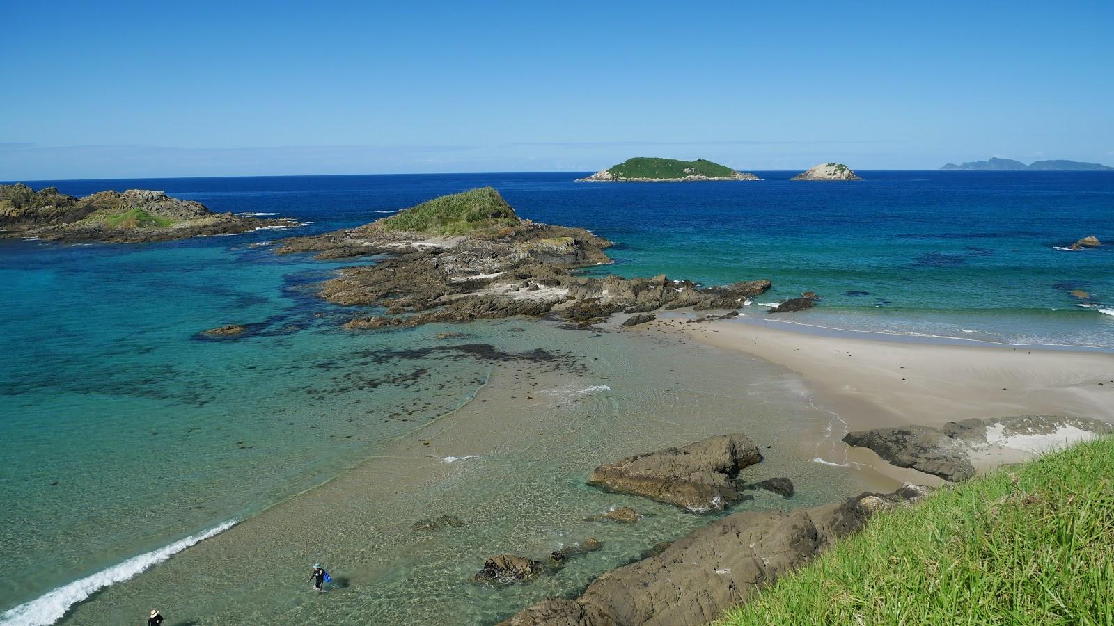 Sandee Ocean Beach Whangarei Photo