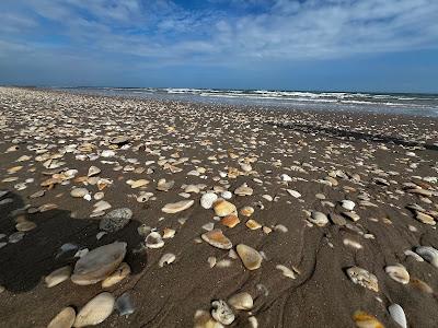 Sandee - Big Shell Beach